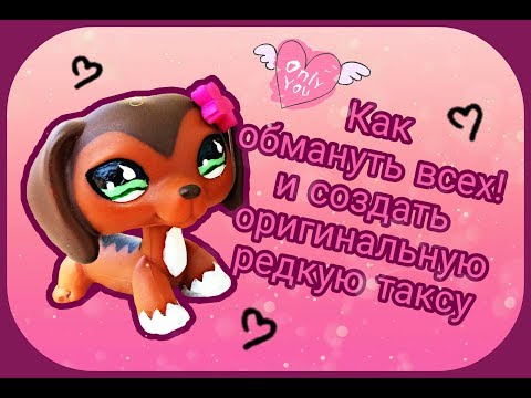 Как превратить из обычной таксы в супер редкую таксу ( LPS Super Rera Dachshund #675 Costume)