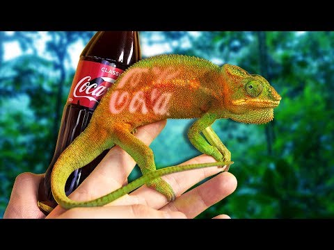 ХАМЕЛЕОН МЕНЯЕТ ЦВЕТ😱 / ЭКСПЕРИМЕНТ С ЗЕРКАЛЬНОЙ КОРОБКОЙ🦎