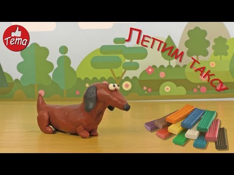 Как слепить собаку таксу из пластилина Лепим собаку sculpt from clay