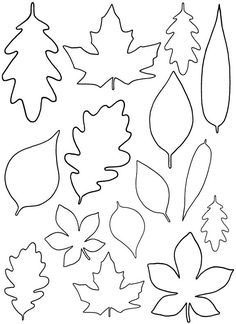 Шаблоны листьев для вырезания из бумаги 1