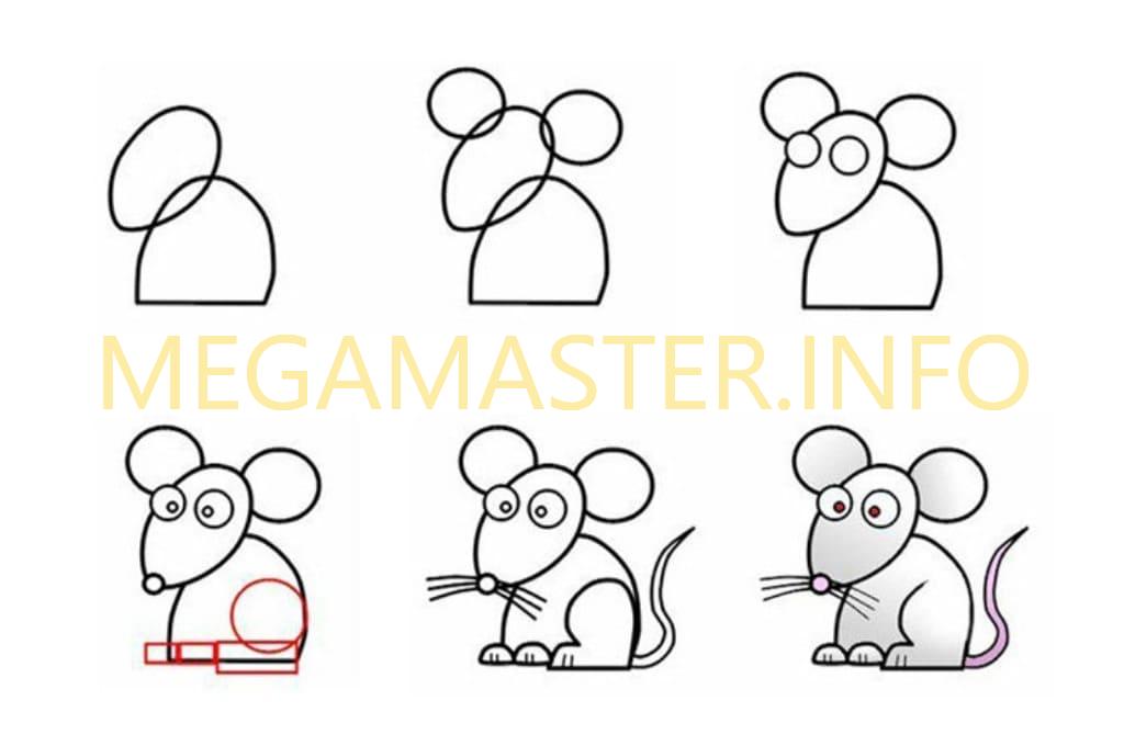 Простая инструкция рисования мышонка