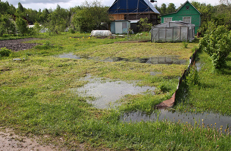 Вода на участке