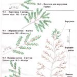 схема сборки деревьев