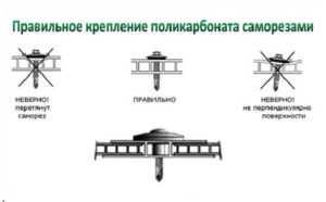 Строим навес из поликарбоната своими руками