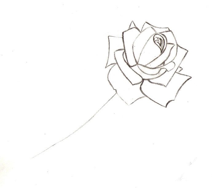 Як намалювати троянду крок за кроком – схема, фото 10