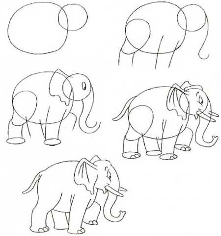 Как рисовать слона поэтапно, фото 4