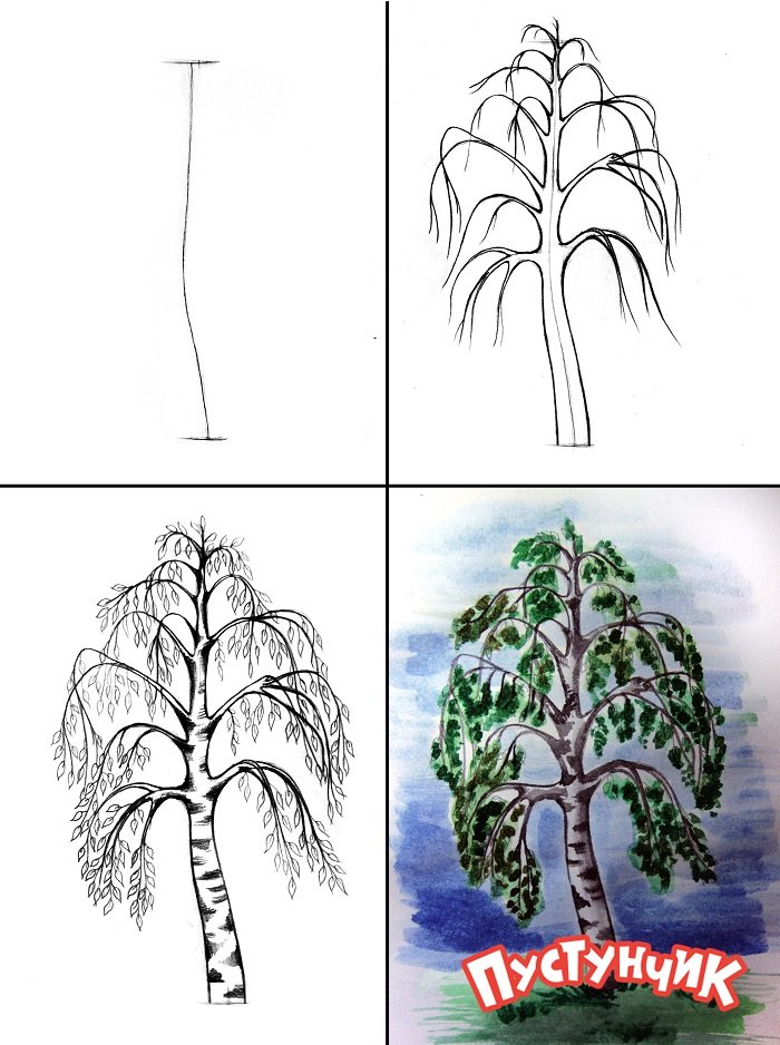 Как нарисовать дерево - дуб, фото 2