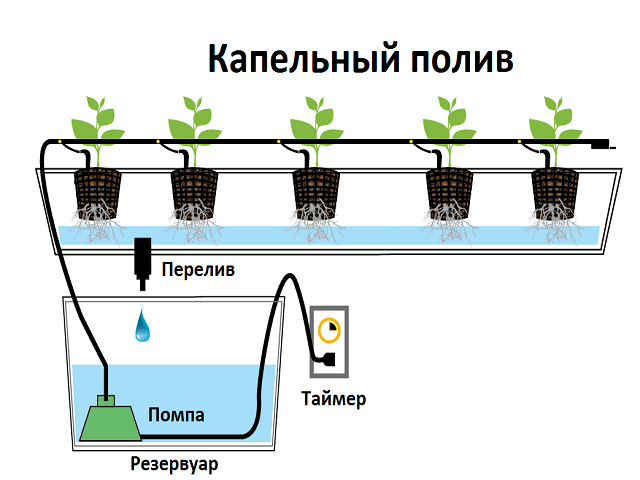 Капельное орошение