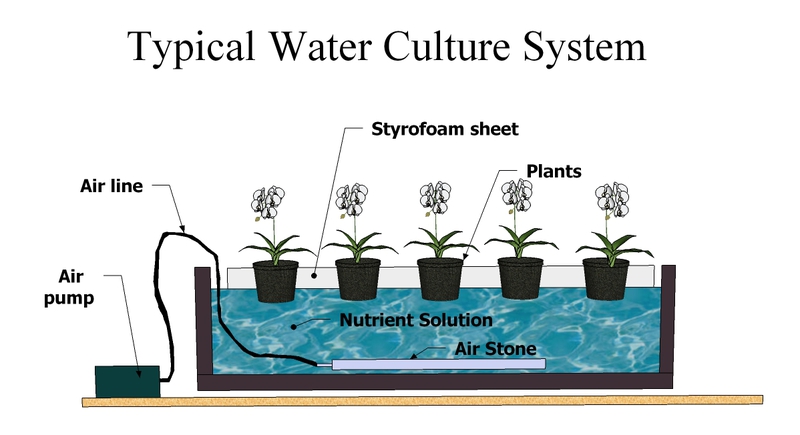 Гидропоника своими руками 