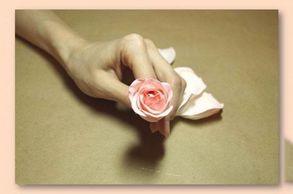 Как сделать красивые розы своими руками, мастер-классы для начинающих с пошаговыми фото
