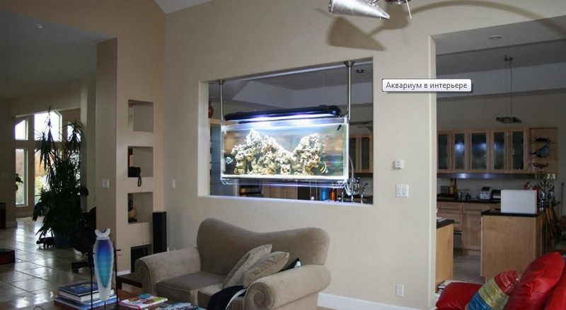 аквариум в стене между комнатами фото