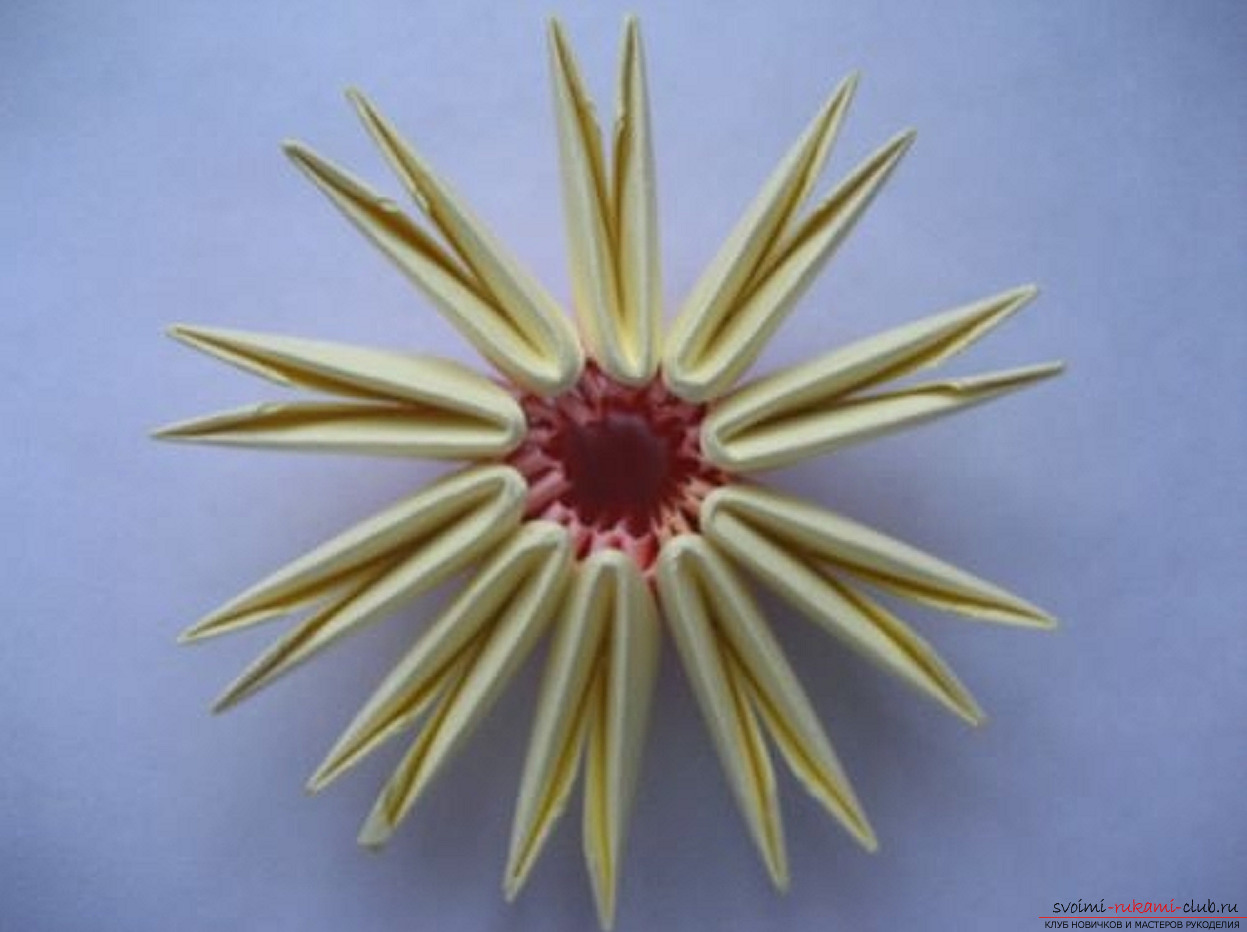 модульное оригами ромашка. Фото №17