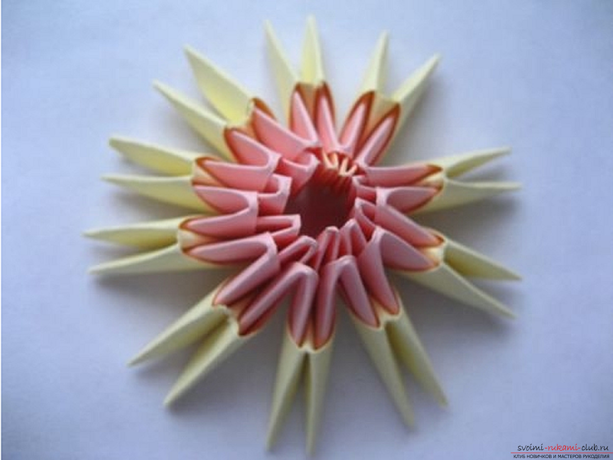 модульное оригами ромашка. Фото №16