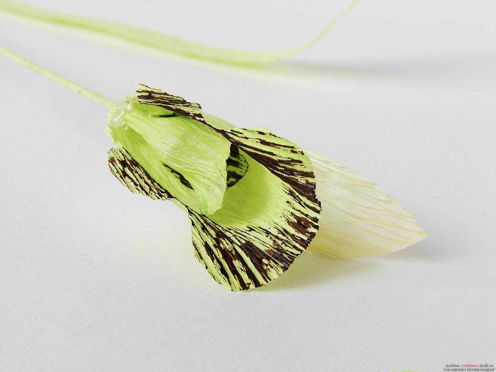 Этот мастер-класс расскажет как сделать своими руками из гофрированной бумаги прекрасную орхидею.. Фото №23