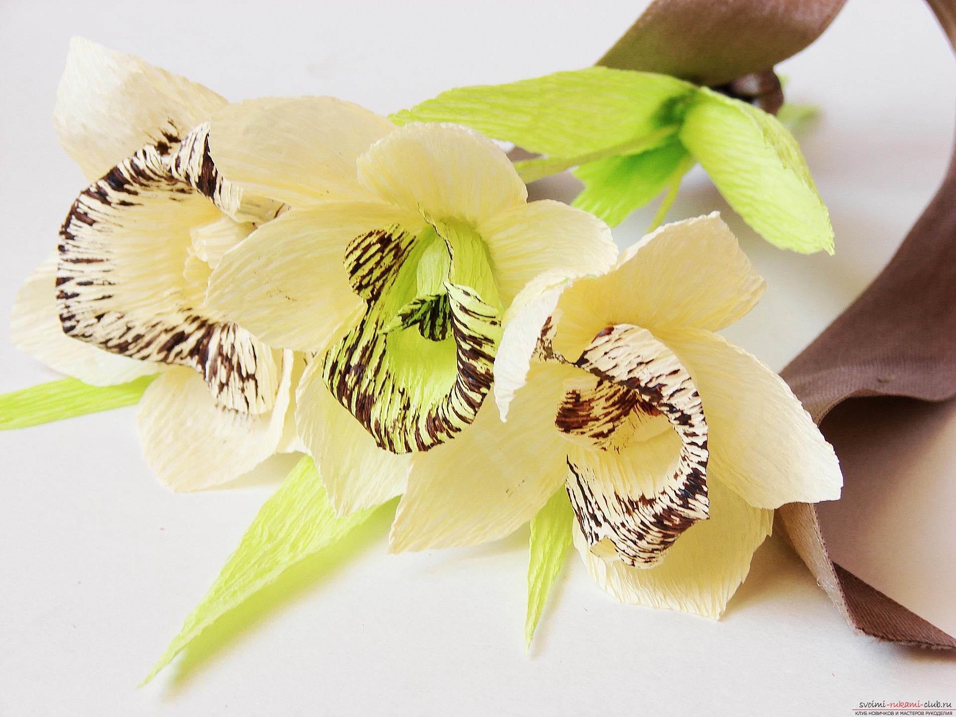 Этот мастер-класс расскажет как сделать своими руками из гофрированной бумаги прекрасную орхидею.. Фото №39