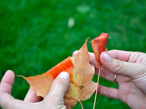 autumn bouquet from scrap materials with your hands