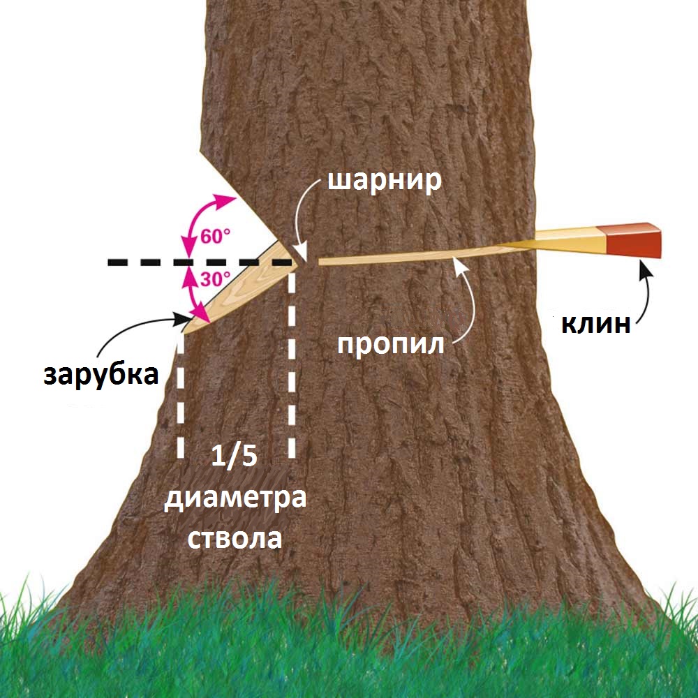 как валить дерево