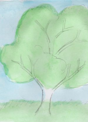 Как нарисовать дерево 13