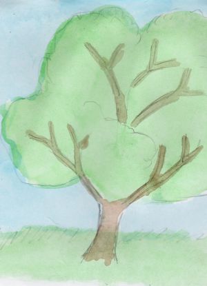 Как нарисовать дерево 14