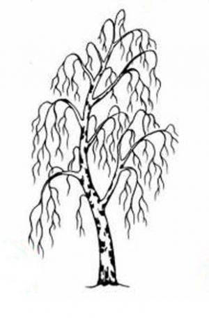 Как нарисовать дерево 4