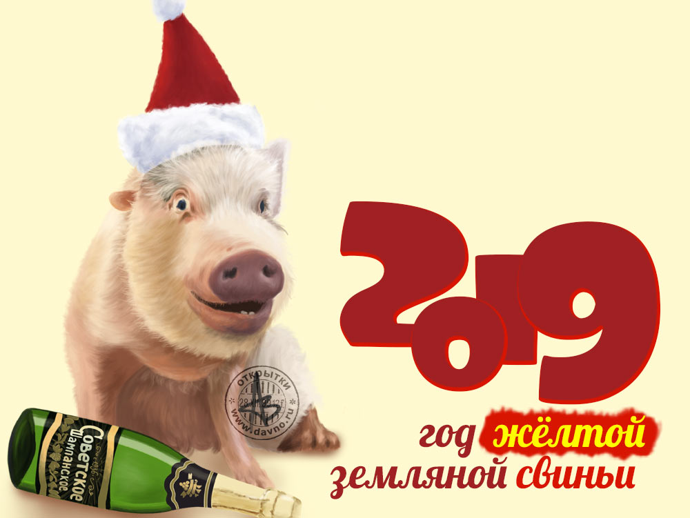 2019 год свиньи (кабана) - желтой, земляной