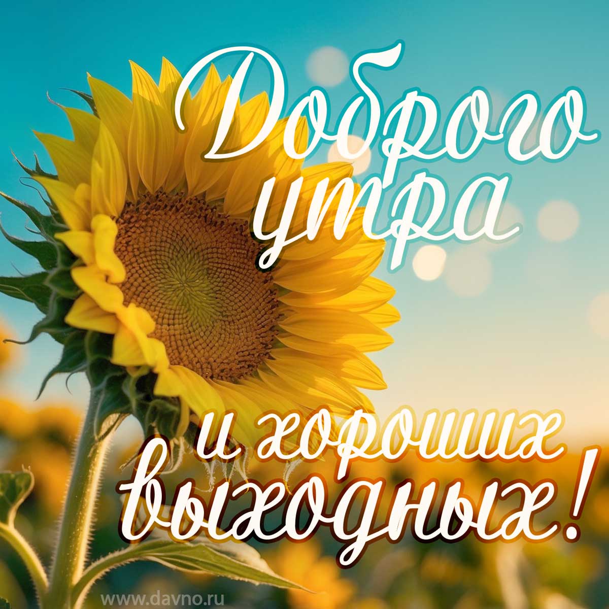 Доброго утра и хороших выходных!