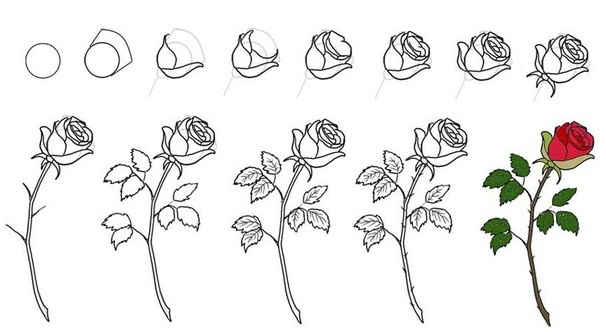 Рисунки для срисовки карандашом поэтапно