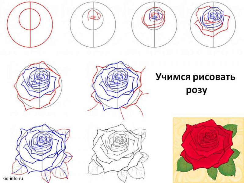 Рисунки для срисовки карандашом поэтапно