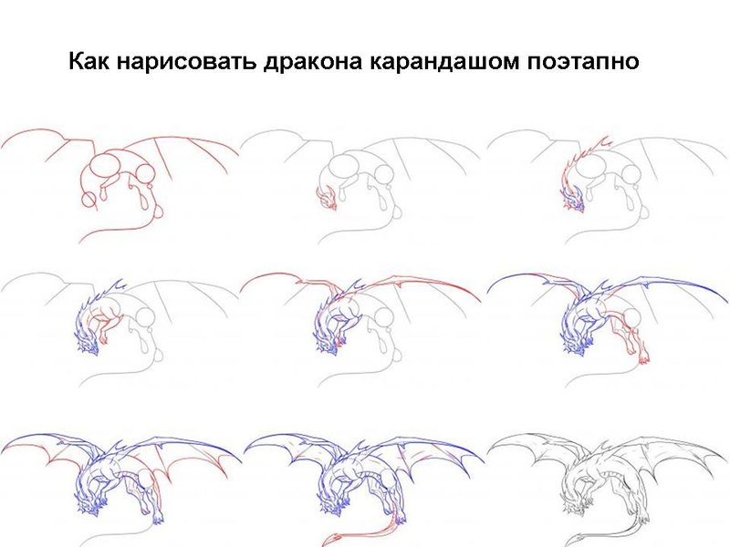 Рисунки поэтапно для начинающих