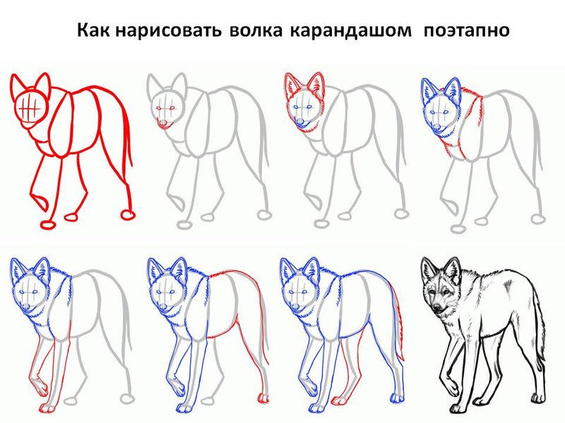 Рисунки поэтапно для начинающих