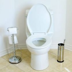 Полезные советы для вашего туалета