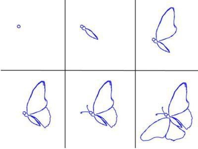 как рисовать бабочку карандашом