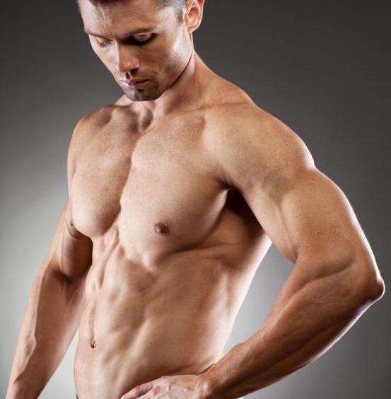 мышцы плечевого пояса верхней конечности 