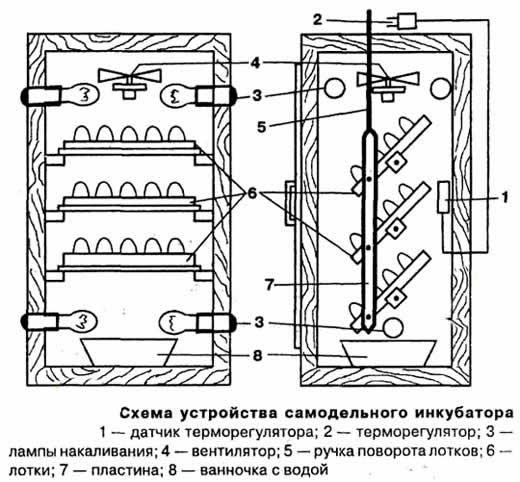 схема инкубаторов самодельный 