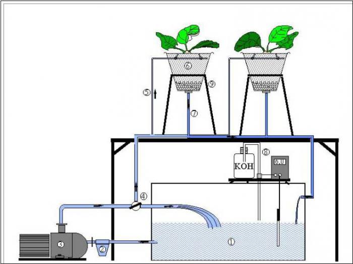 самодельная гидропонная установка