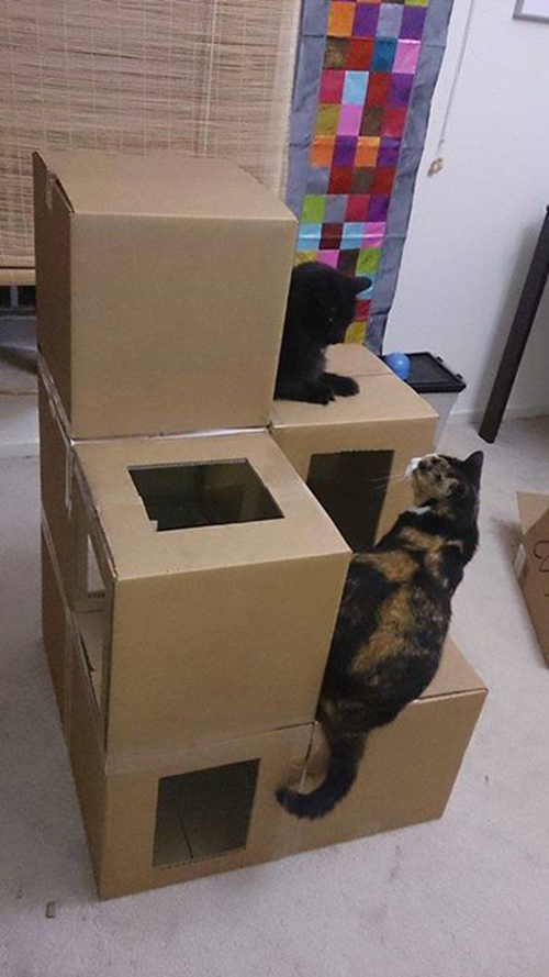 дом для кошки