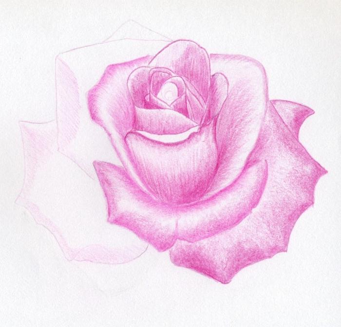 нарисовать розу