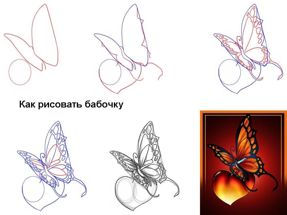 Бабочка и листик нарисовать
