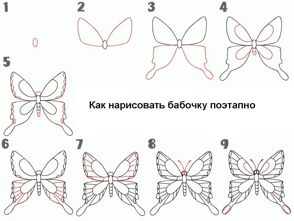 Бабочки нарисовать