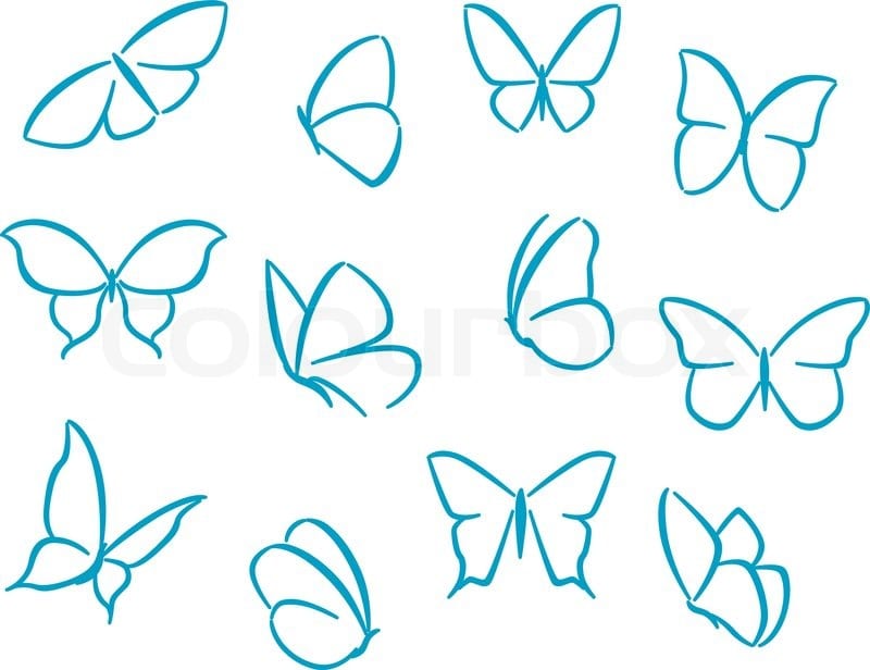 Ракурсы бабочки