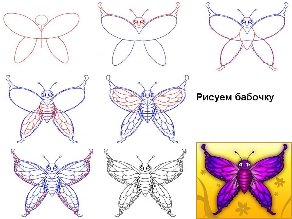 фиолетовая бабочка нарисовать
